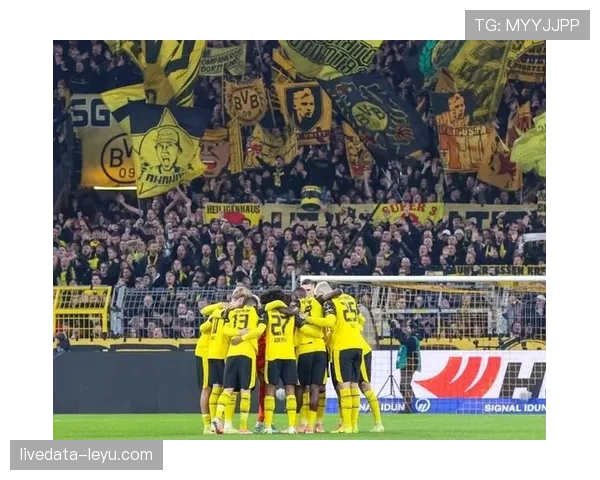 普鲁士公园球场焕新启航，德甲劲旅引援发力冲刺赛季