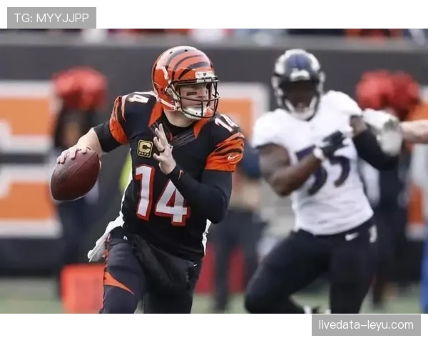 都柏林主场迎战劲旅，新赛季状态火热引关注