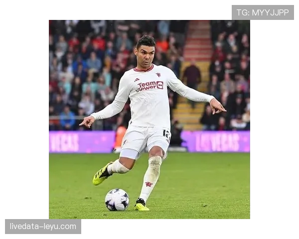 卡塞米罗：中场铁卫的防守艺术与战术智慧再引热议