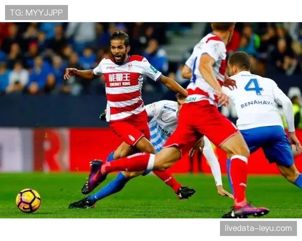 博阿赛季前瞻：新赛季球队表现与前景深度解析