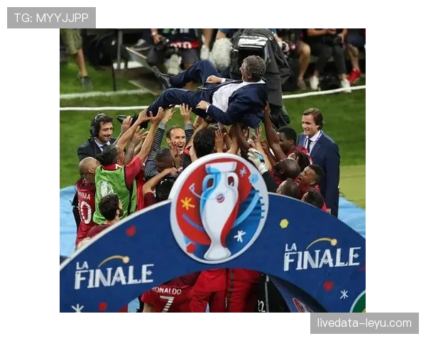 欧洲杯法国队冠军 欧洲杯法国队冠军