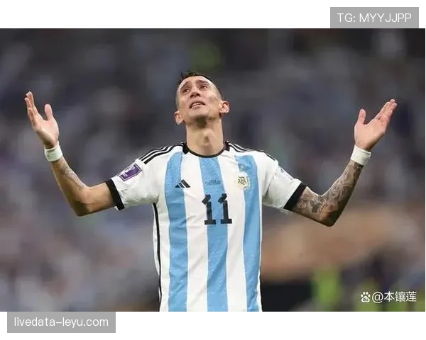 安赫尔·迪马利亚：2022世界杯决赛破门锁定冠军关键一环