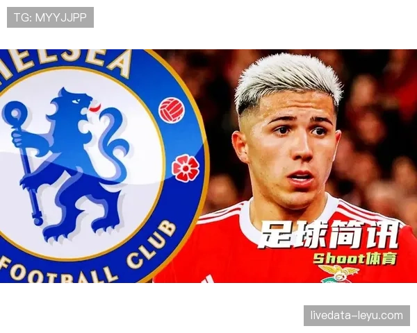 恩佐是否被高价捧高?转会溢价与实战价值差距分析 恩佐是否被高价捧高?转会溢价与实战价值差距分析